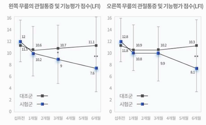 콘드로이친 1200 효능 시험 결과 사진