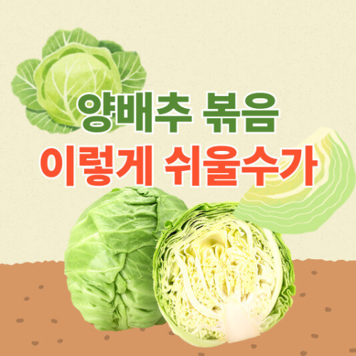 양배추 요리