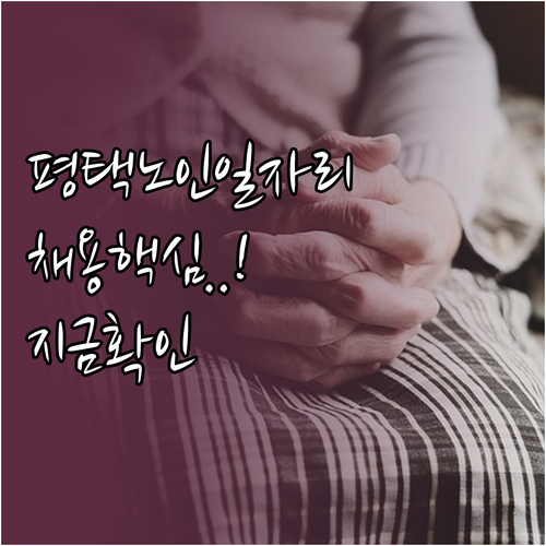 평택시 시니어클럽 노인일자리 유형 및..