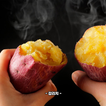 루테인 많은 음식