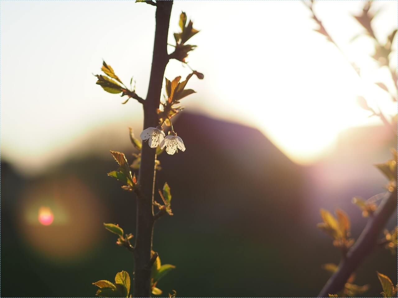새마을금고 적금 이율