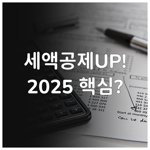 2025 IRP 연금 세액공제 한도 ..