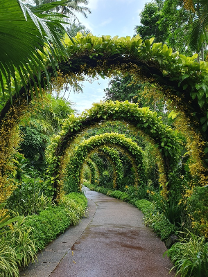 싱가포르 여행 추천 싱가포르 내셔널 오키드 가든