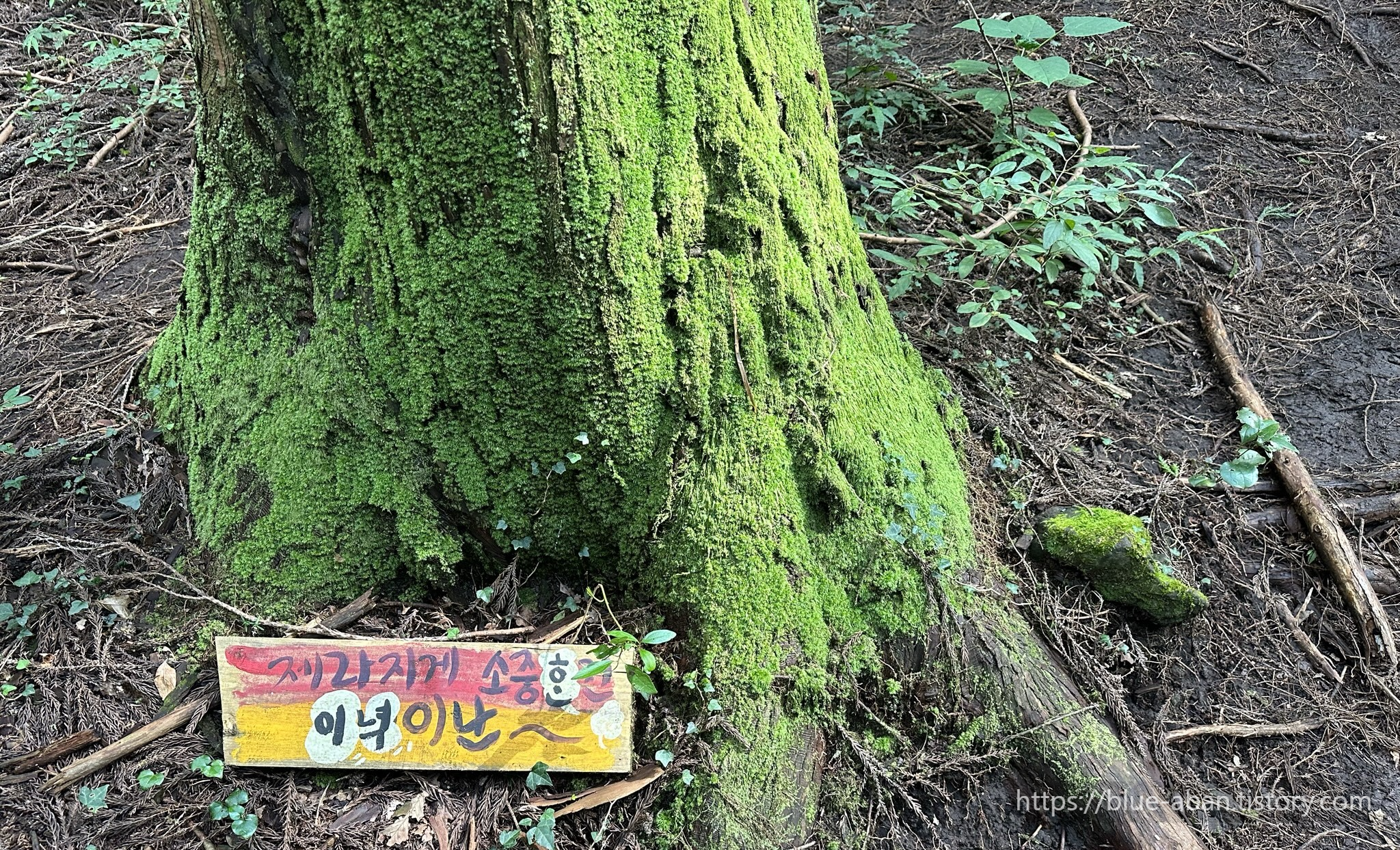산책로