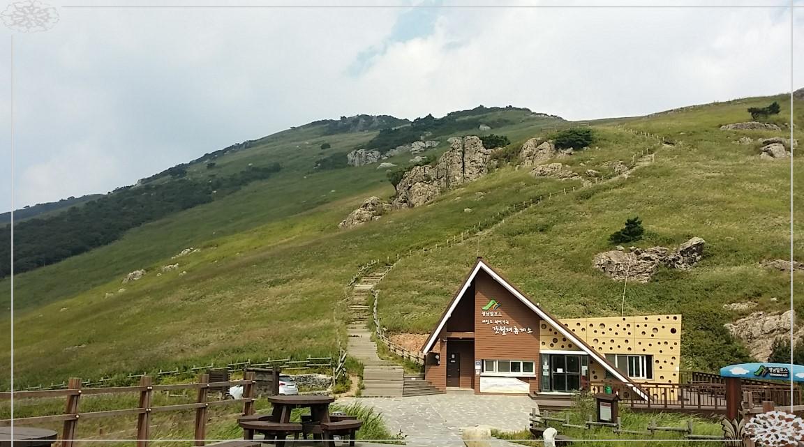 황금빛 억새 바다에서 힐링! 울산 영남알프스 간월재 트레킹 완벽 가이드 (ft. 초보자 추천 코스 & 절정 시기)