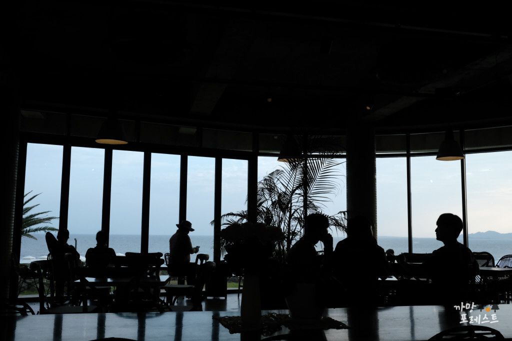 카페 루시아 내부 분위기