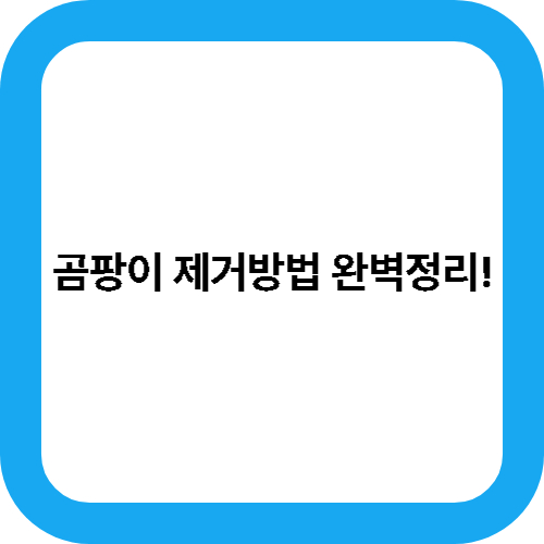 곰팡이 제거방법 완벽정리! 대표사진