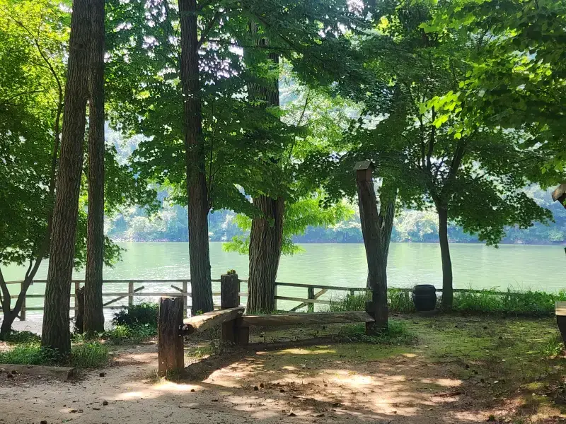 춘천 남이섬 호수 사진