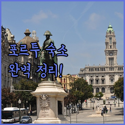 전망 좋은 호텔부터 가성비 숙소까지 ..