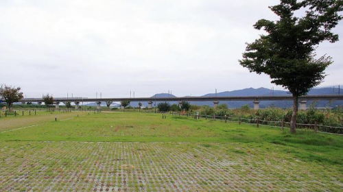 칠곡보오토캠핑장