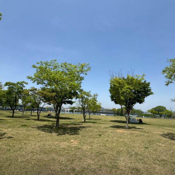 여의도물빛광장