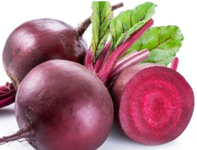 깨끗한 혈관관리 비트