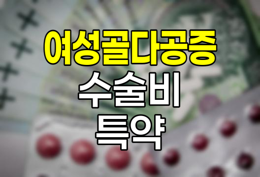 메리츠화재 여성골다공증 수술비 특약 심층 분석
