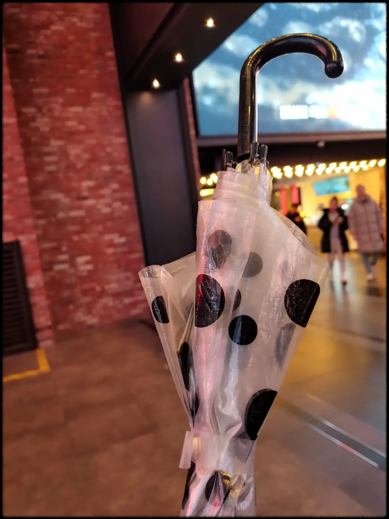 뜻밖의-해프닝/-분실물-찾기/-장대우산