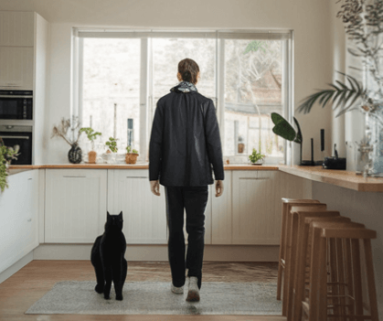 검은 고양이 꿈 해몽