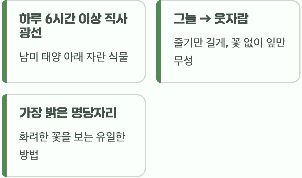 이 친구에게 꼭 필요한 단 한 가지