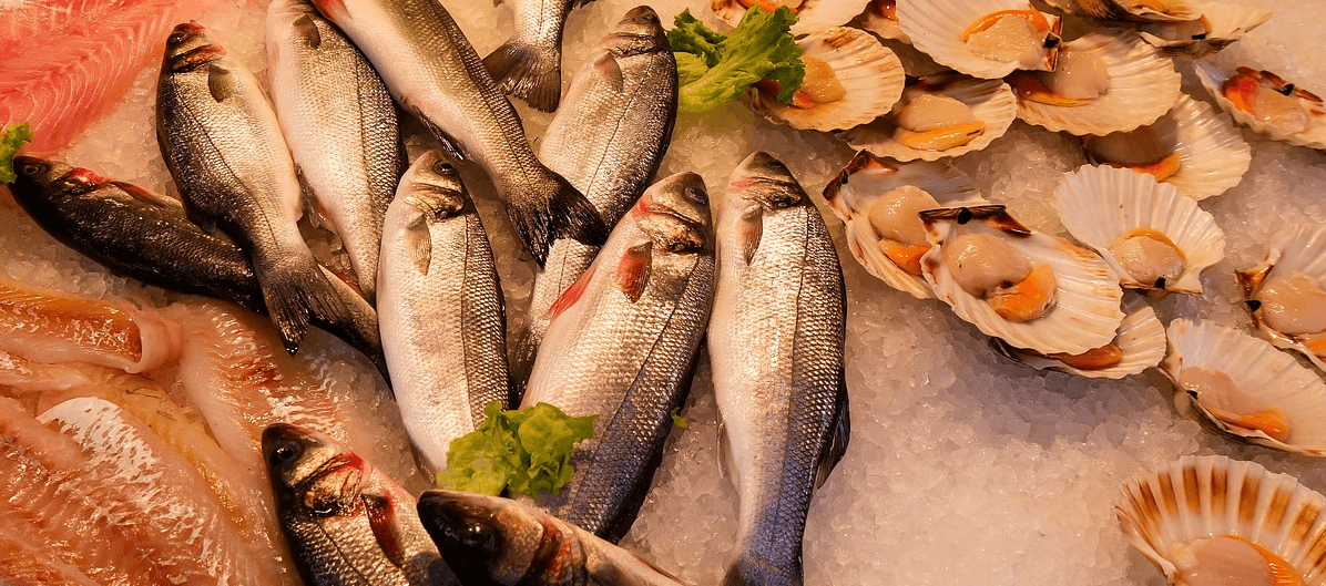 부종에 좋은 음식 사진 생선과 조개