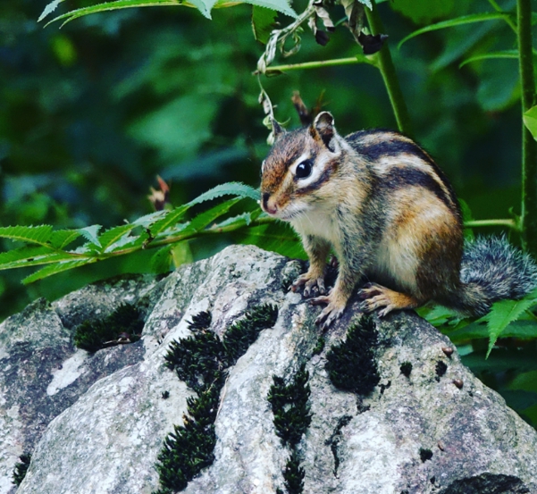 방태산-자연휴양림-04