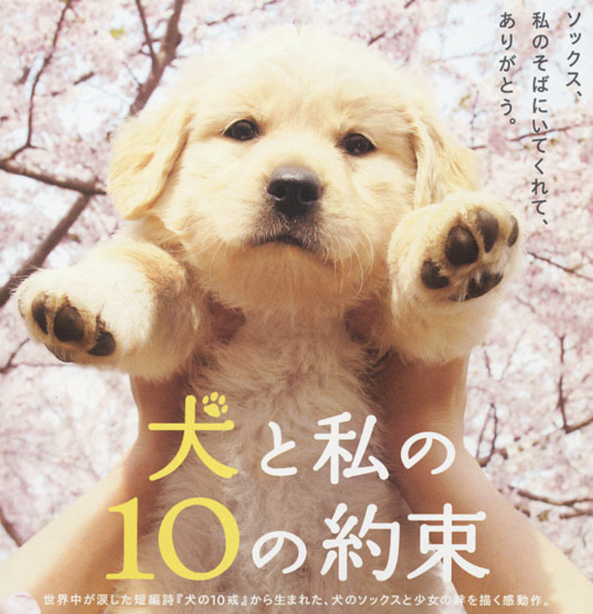 내 개에게 10가지 약속 (10 Promises to My Dog)