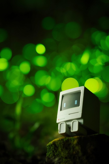 화담숲 반딧불이 축제 예매