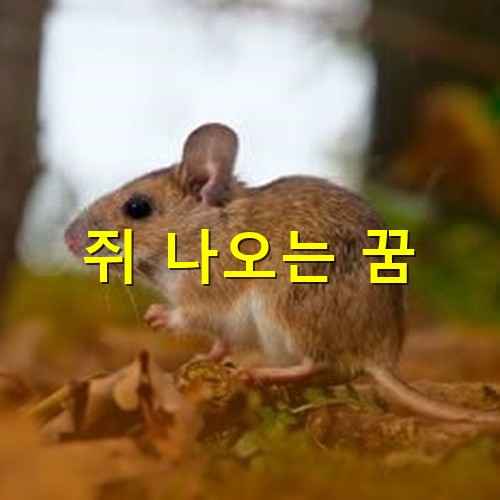 갈색-새끼-쥐가-산에서-먹이를-갉아먹는-모습
