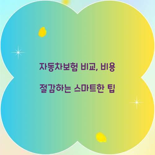 자동차보험 비교