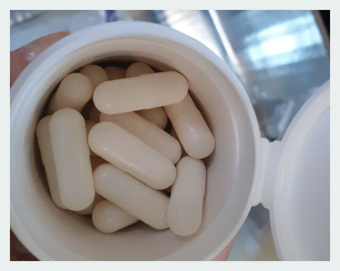 비엔아이17 유산균