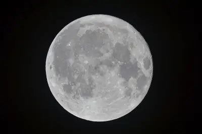 추석에 빠질 수 없는 보름달