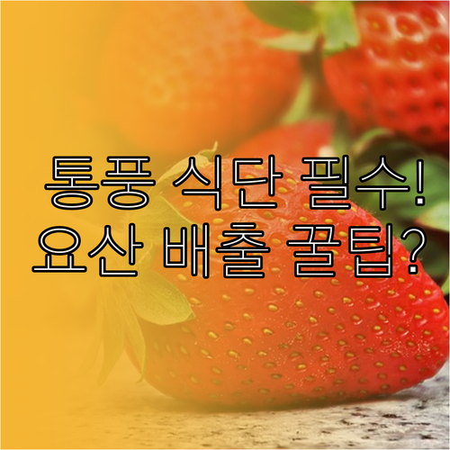 통풍 식단 오해와 진실 식물성 퓨린 ..