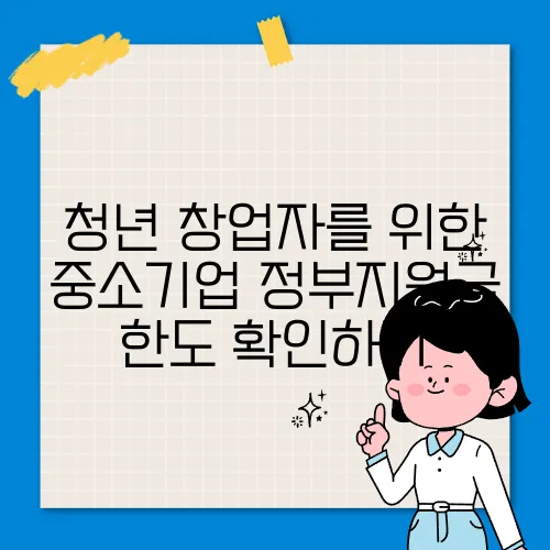 청년 창업자를 위한 중소기업 정부지원금 한도 확인하기