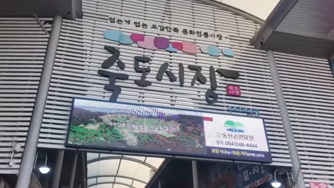 포항 당일치기 여행