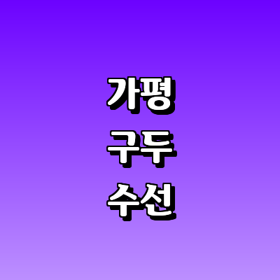 가평군 구두수선