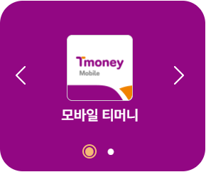 T-money card