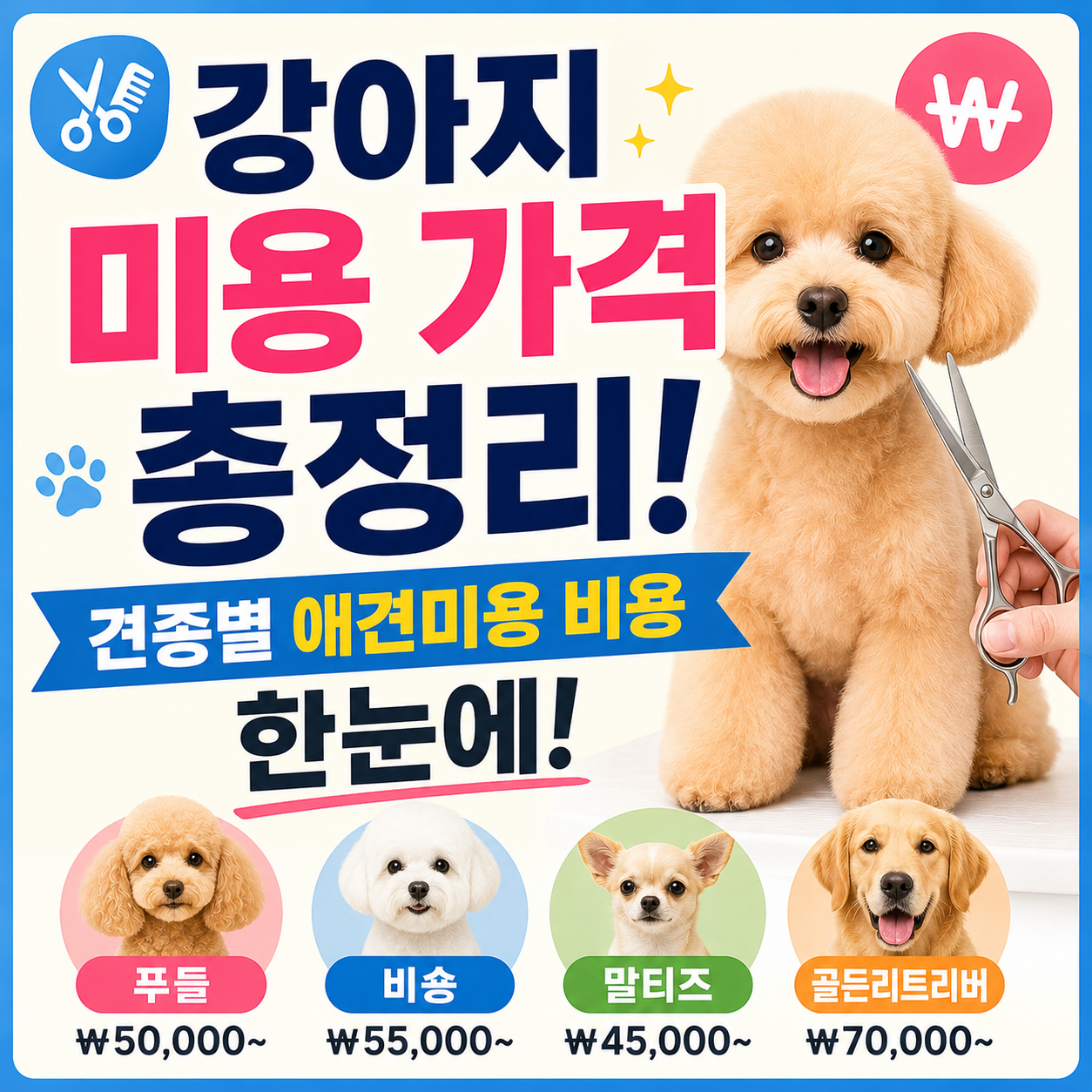 강아지 미용