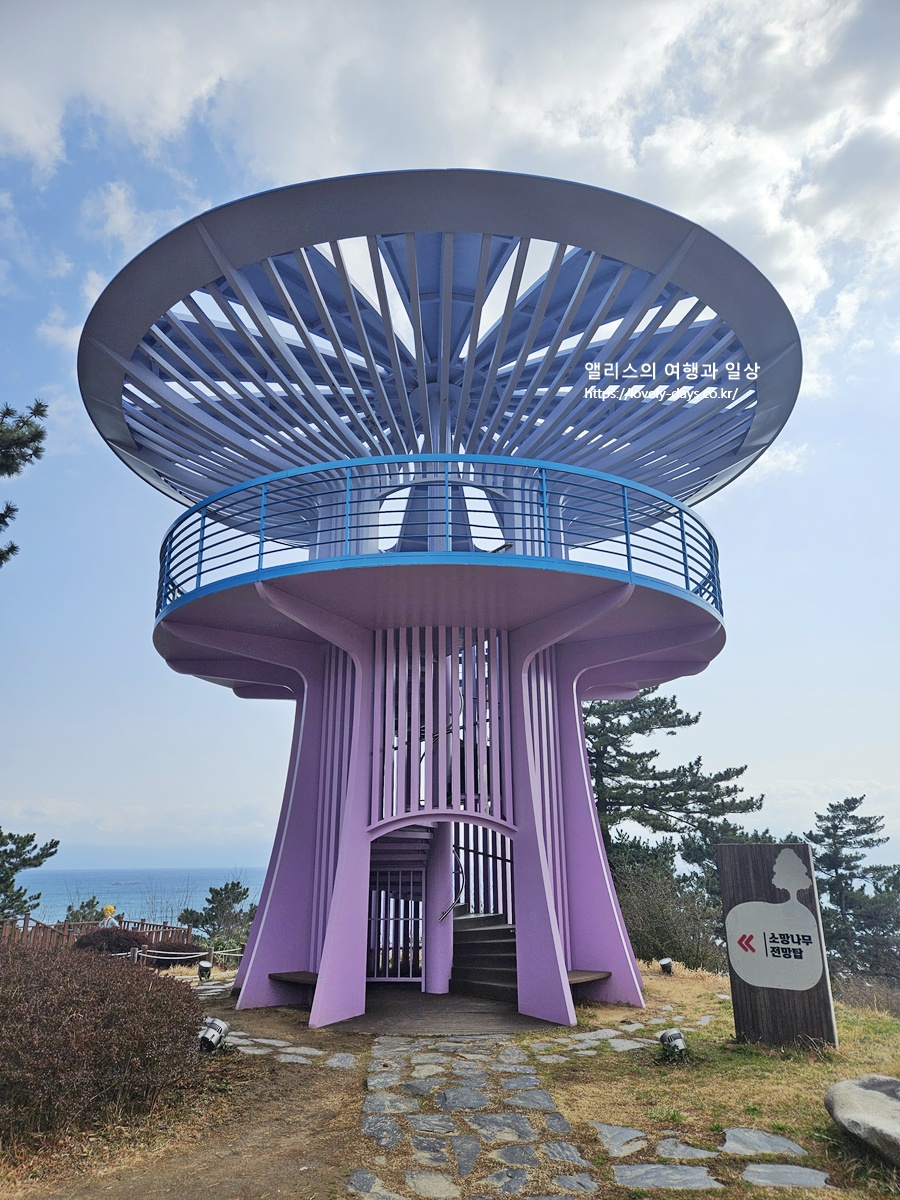 왕피천 케이블카 예약 가격 환급방법 탑승 후기 산책길 가볼만한곳