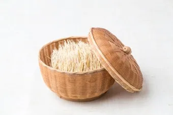 약용식물 동충하초 자연의 신비 건강 효능과 활용_3