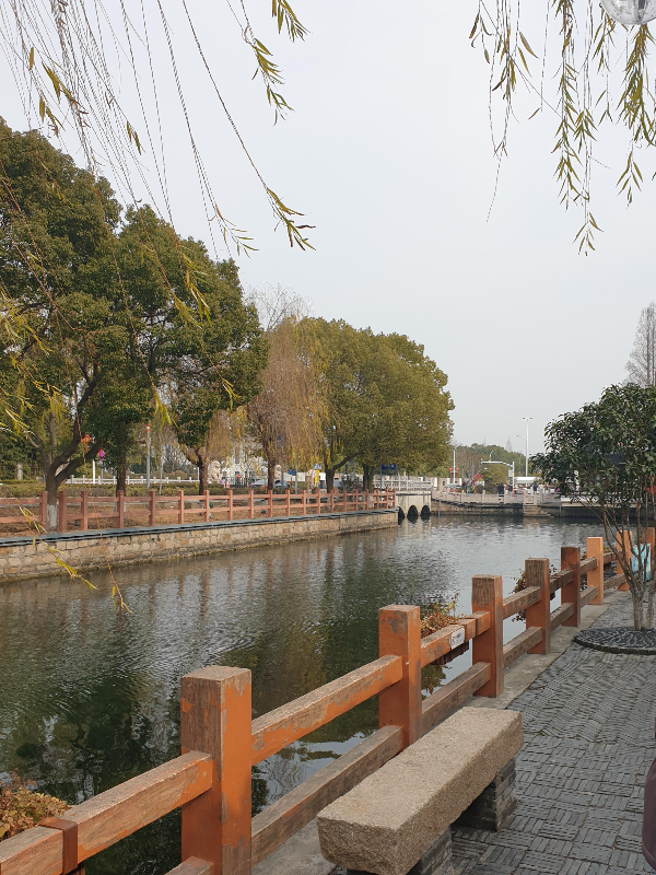 반듯하게 정비된 수로가 있다. 반대편에는 큰 나무들이 수로를 따라 서 있다.