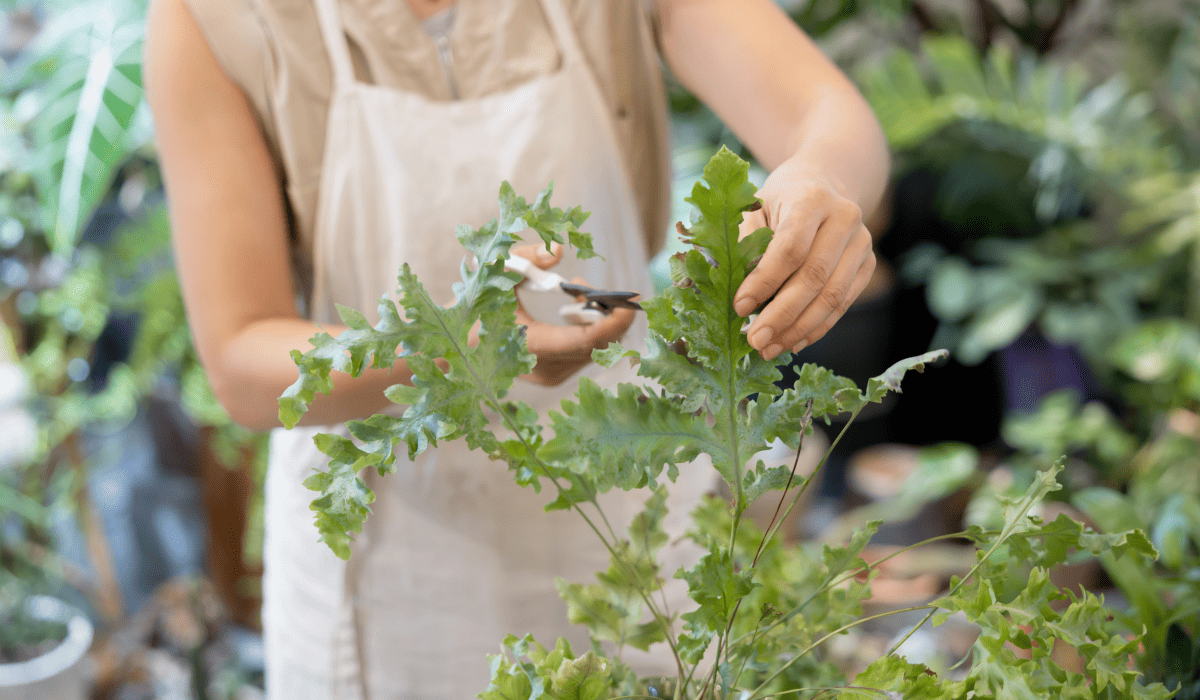 소상공인_정책자금_대리대출_4