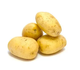 감자 심는 시기 재배 방법_9