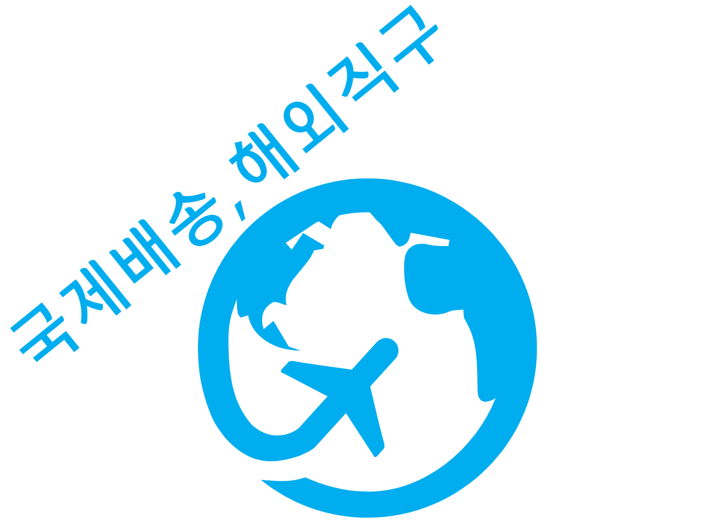 해외직구