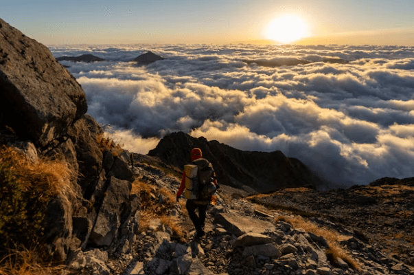 무릎 통증, 질환별 자가 진단 및 관리법