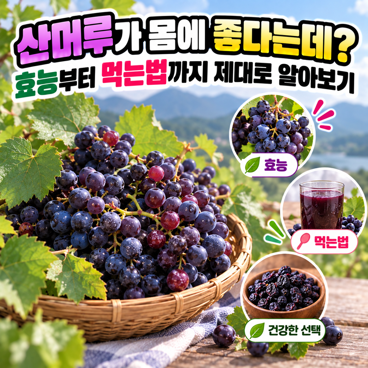 산머루