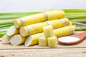 폴리코사놀 효능 부작용 (3주 섭취 후기)