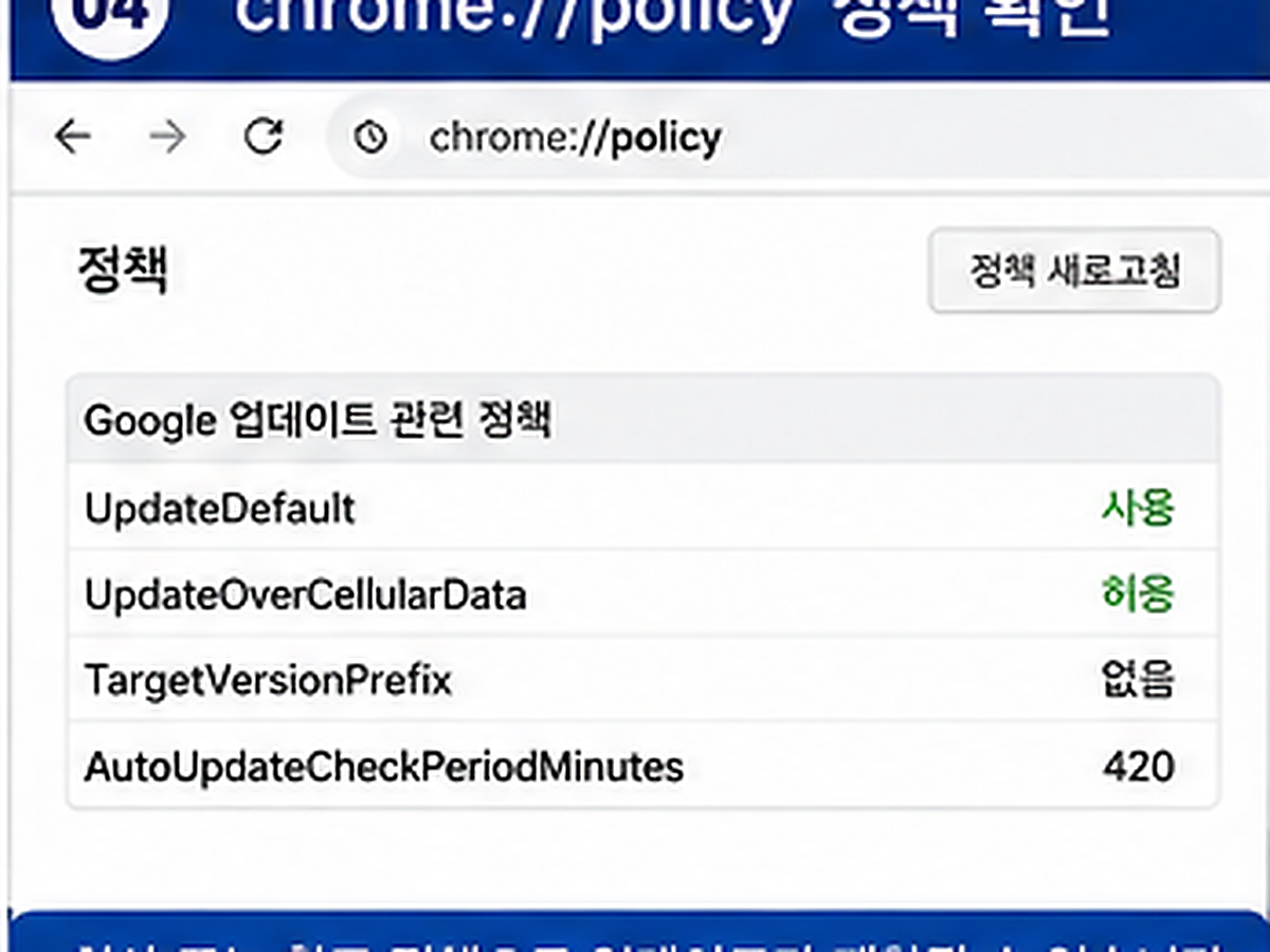 크롬 policy 페이지에서 회사 관리자 업데이트 정책 확인