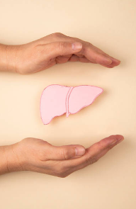 간수치가 높으면 나타나는 증상&amp;#44; 올라가는 이유&amp;#44; 간수치 정상범위 총정리 (2024ver)