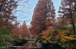 장태산자연휴양림 요금 선착순 사전예약 주차 할인 산림복지바우처