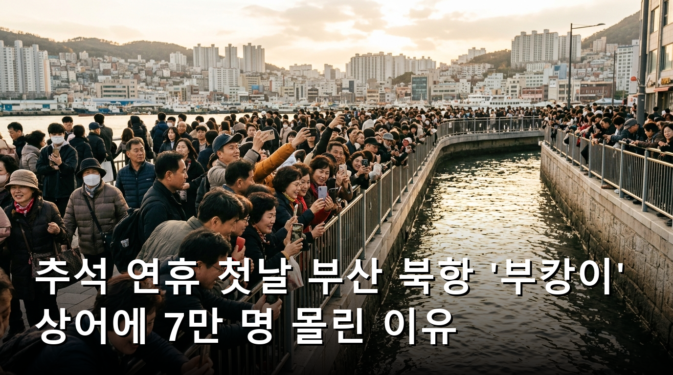 부산 부캉이 멸종위기종 암컷 흑상어