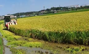 농지연금 수령액 계산 방법