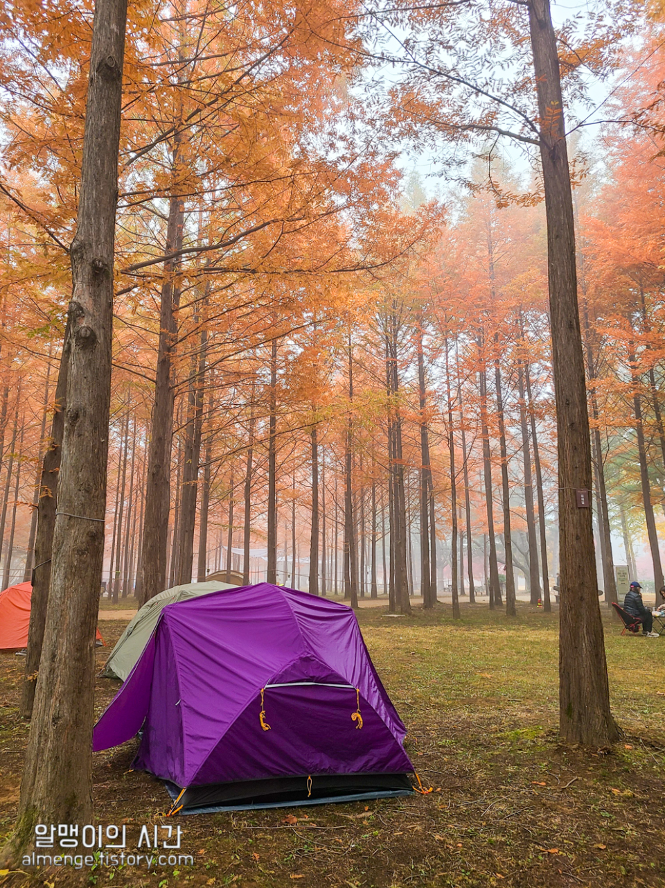#27 엄마랑 춘천 남이섬 모녀 백패킹 _캠핑 초보자 박지 추천 #27 엄마랑 춘천 남이섬 모녀 백패킹 _캠핑 초보자 박지 추천