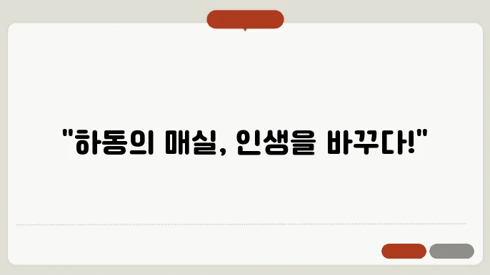 하동 매실과 건강한 삶